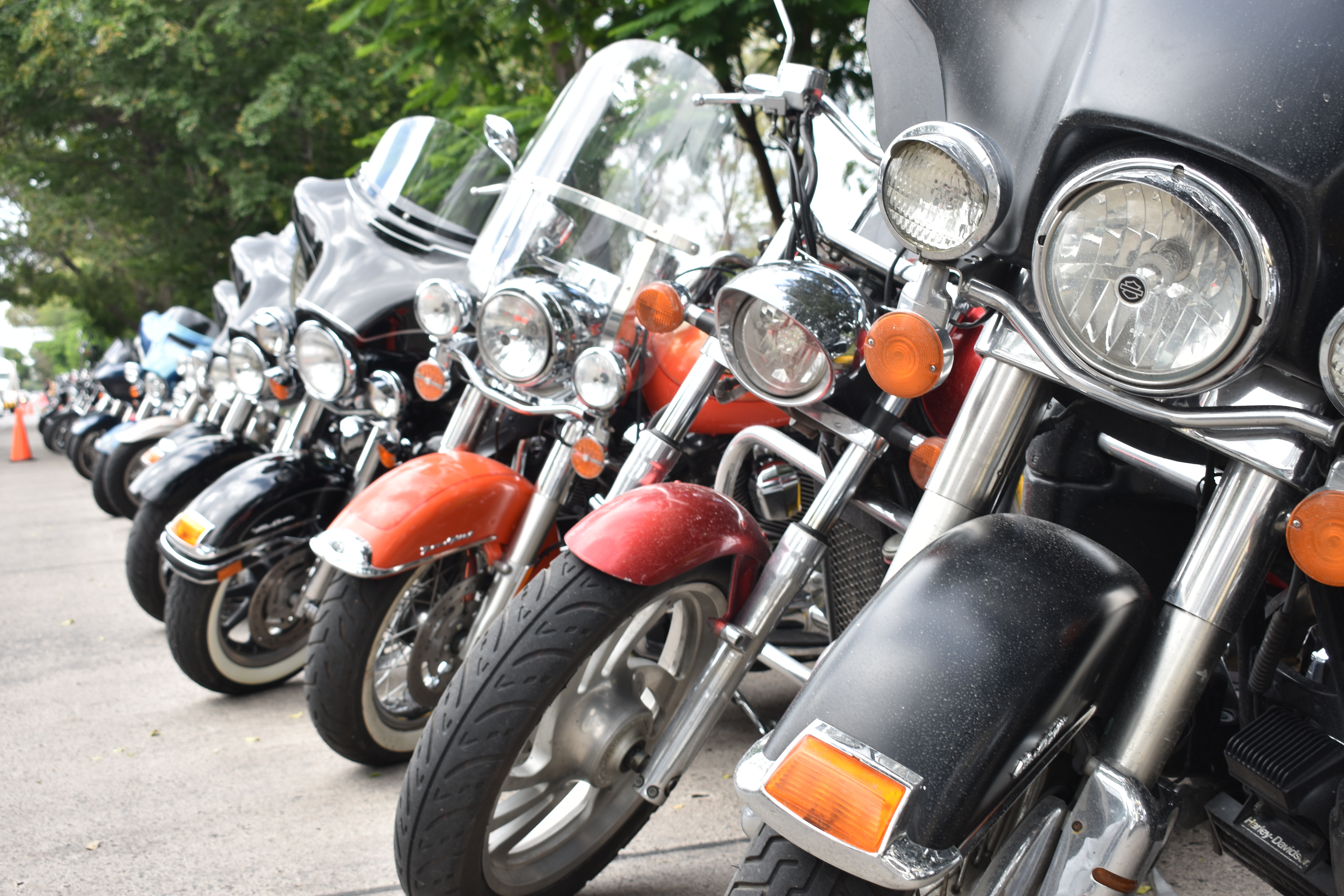 2Ws see a smooth ride in FY25, sales grow 7.3%